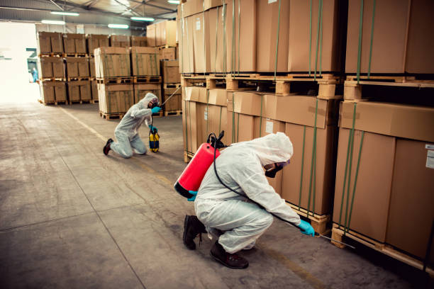 Best Bed Bug Extermination  in Water Valley, MS
