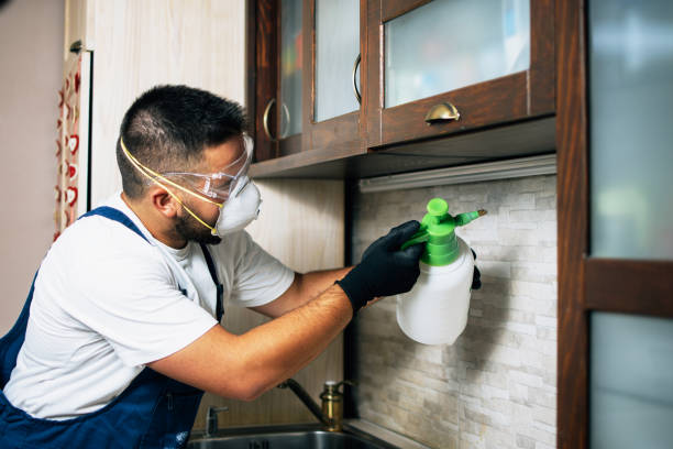 Best Best Pest Control Companies  in Water Valley, MS