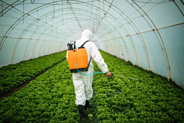 Pest Prevention Services in Water Valley, MS