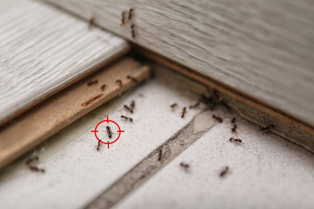 Wildlife Control Services in Water Valley, MS