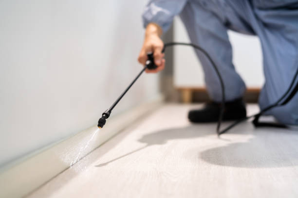 Best Pest Removal Services  in Water Valley, MS
